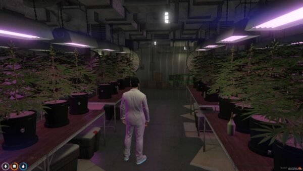Secret Weed Farm MLO - Image 4