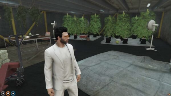 FiveM Weed Farm YMAP - Image 3