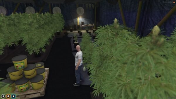 Weed Storage MLO - Image 2