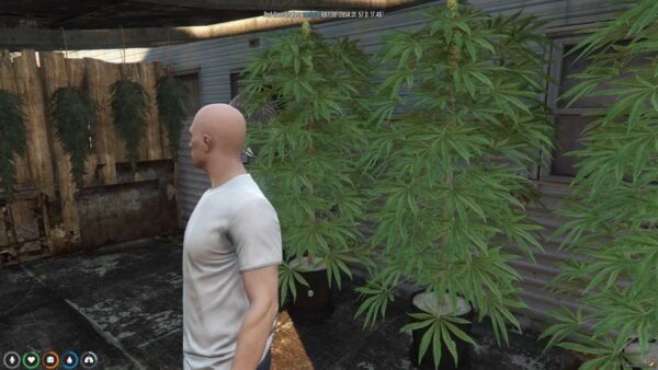 FiveM Drug Locations Map - Image 2